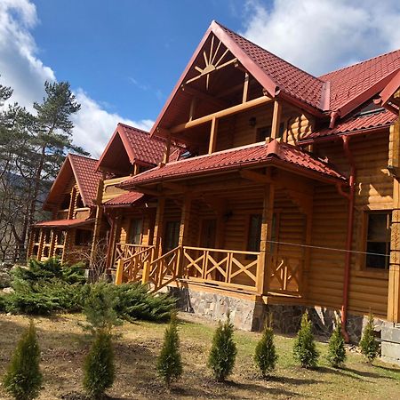 Villa "Затишна" Mikulicsin Kültér fotó